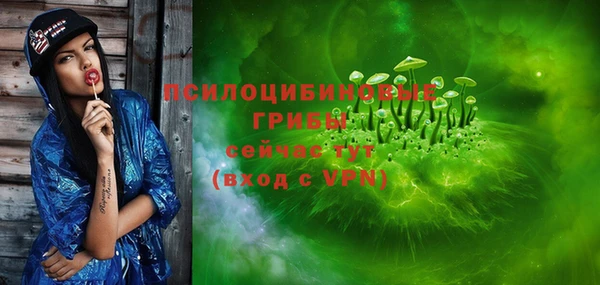 гидропоника Абаза