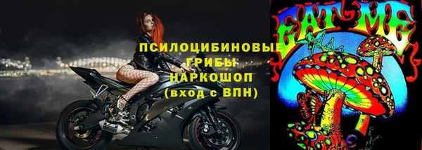 гидропоника Абаза